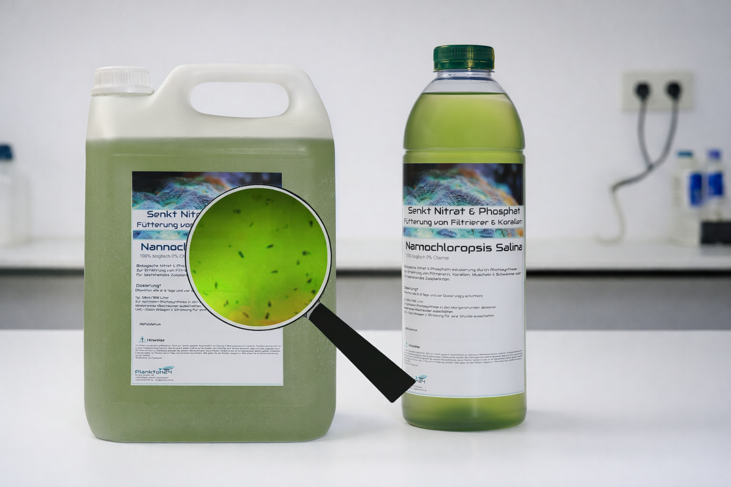 Nannochloropsis & Zooplankton – Das biologische Power-Duo für dein Riff