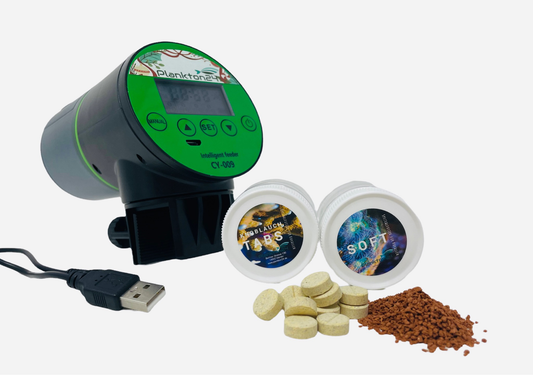 Plankton24 Smart-Feeder – Urlaub für dich, Premium-Service für deine Fische