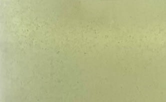 Brachionus - Marine Rädertierchen - Lebende Copepoden