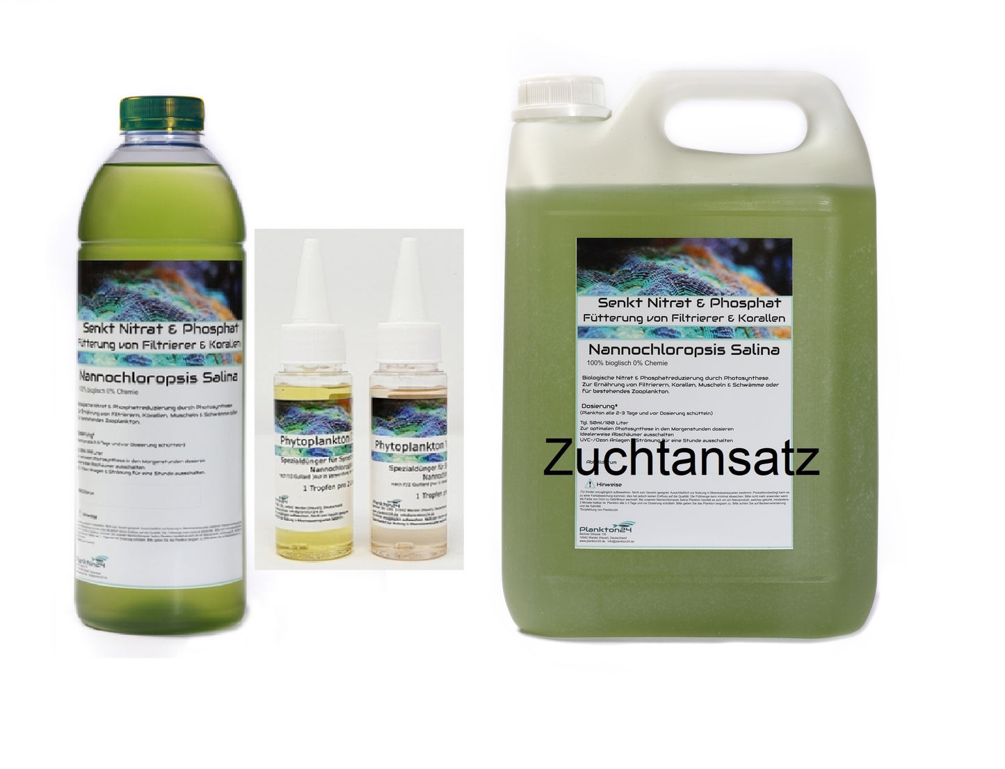 Nannochloropsis Salina Zuchtansatz – Ihr Start in die Phytoplankton-Zucht