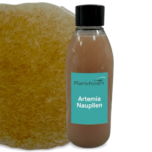 Plankton24 Liquid Artemia Nauplien – Die nährstoffreiche Premium-Alternative