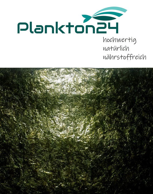 5 Naturbelassene, getrocknete Noriblätter - Getrocknete Algennahrung