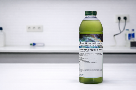 Nannochloropsis salina zur Senkung von Nitrat und Phosphat Der natürliche Nährstoff-Manager & Korallen-Booster