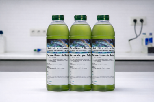 Nannochloropsis salina zur Senkung von Nitrat und Phosphat Der natürliche Nährstoff-Manager & Korallen-Booster