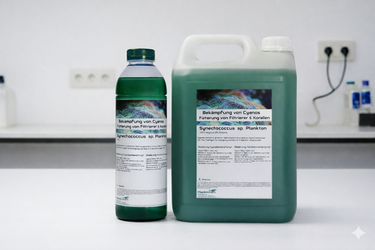 Synechococcus sp. Plankton – Die biologische Wunderwaffe für Ihr Riff