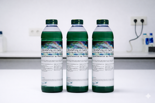 Synechococcus sp. Plankton – Die biologische Wunderwaffe für Ihr Riff