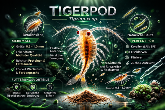 Mariner Lebendfutter-Mix - Tigriopus californicus & Brachionus