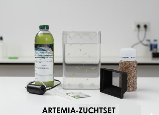 Plankton24 Artemia-Zuchtansatz: Das Komplett-Paket - Starten Sie Ihre eigene Artemia-Zucht