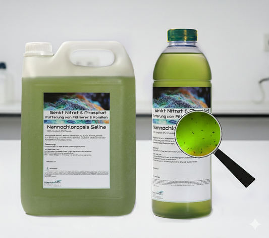 Nannochloropsis & Zooplankton – Das biologische Power-Duo für dein Riff
