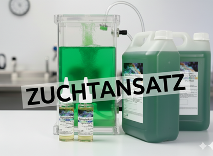 Synechococcus Zuchtansatz – Der perfekte Start in die eigene Plankton-Kultur