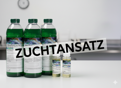 Synechococcus Zuchtansatz – Der perfekte Start in die eigene Plankton-Kultur