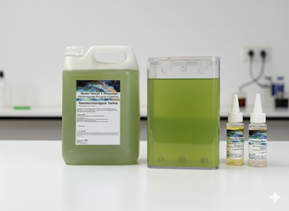 Nannochloropsis Salina Zuchtansatz – Ihr Start in die Phytoplankton-Zucht