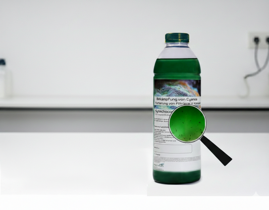 Synechococcus Zooplankton Mix – Die natürliche Wunderwaffe gegen Cyanobeläge