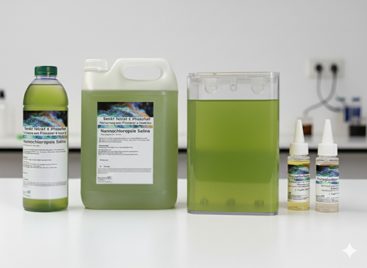 Nannochloropsis Salina Zuchtansatz – Ihr Start in die Phytoplankton-Zucht