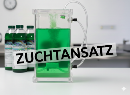 Synechococcus Zuchtansatz – Der perfekte Start in die eigene Plankton-Kultur