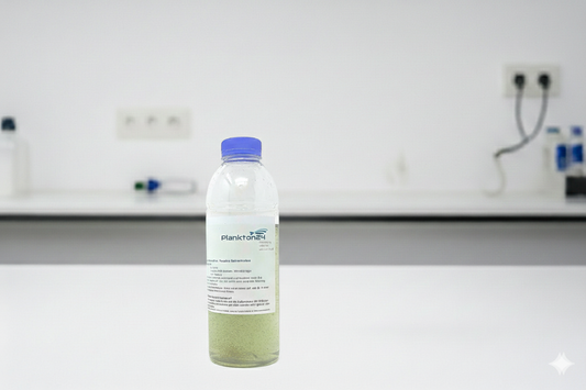 Lebendfutter Zooplankton marine Artemia salina -  Nauplien Salinenkrebse