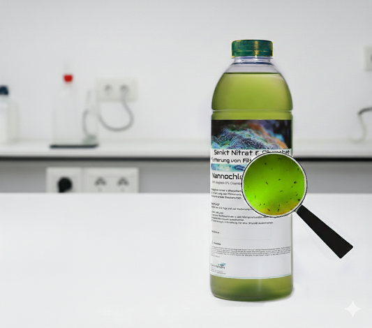 Nannochloropsis & Zooplankton – Das biologische Power-Duo für dein Riff