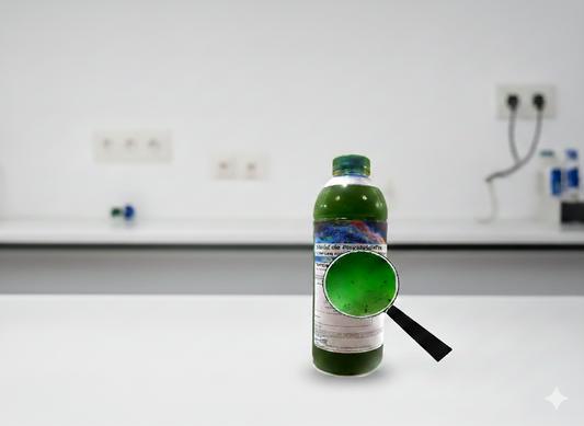 Tetraselmis Suecica & Zooplankton – Das Power-Duo für Ihr Riff