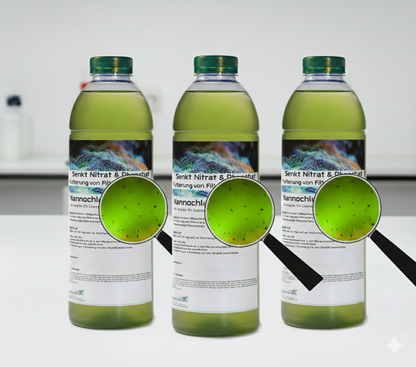 Nannochloropsis & Zooplankton – Das biologische Power-Duo für dein Riff