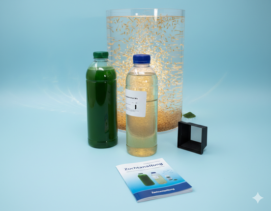 Zooplankton & Copepoden-Zuchtset – Das Rundum-Sorglos-Paket für Ihr Riff