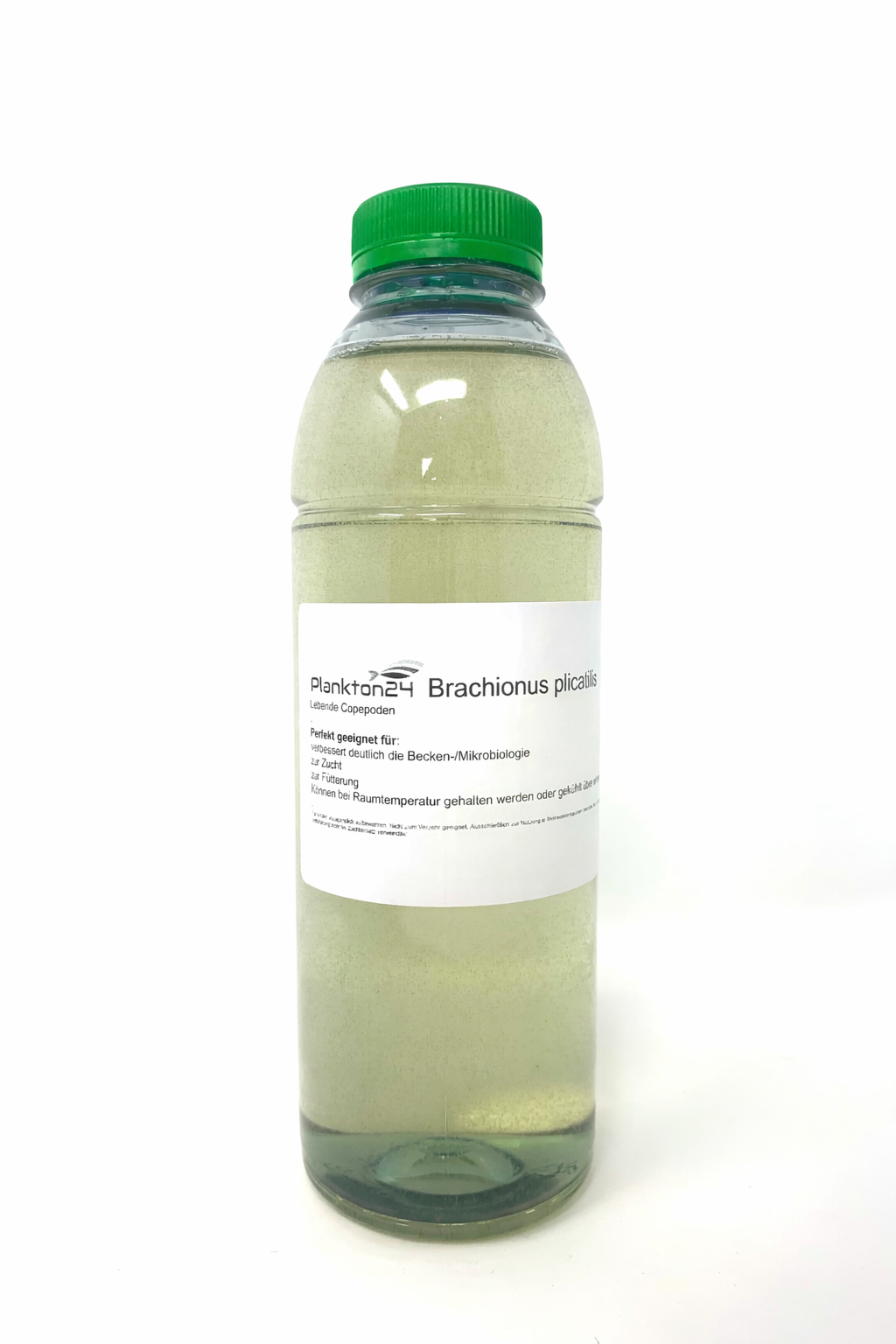 Brachionus - Marine Rädertierchen - Lebende Copepoden